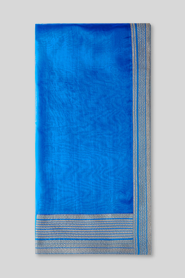 Silk Organza Dupatta with Brocade Detail