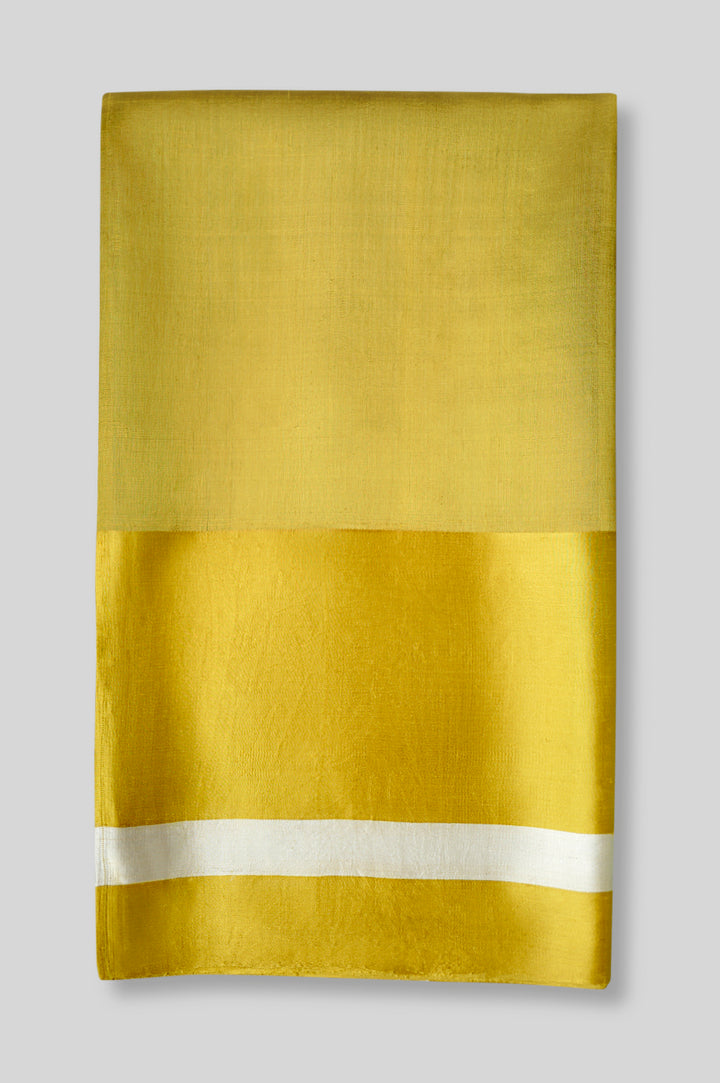 Silk Sari