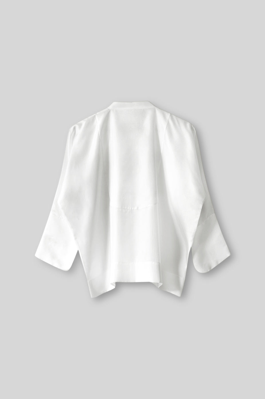 Silk Shirt
