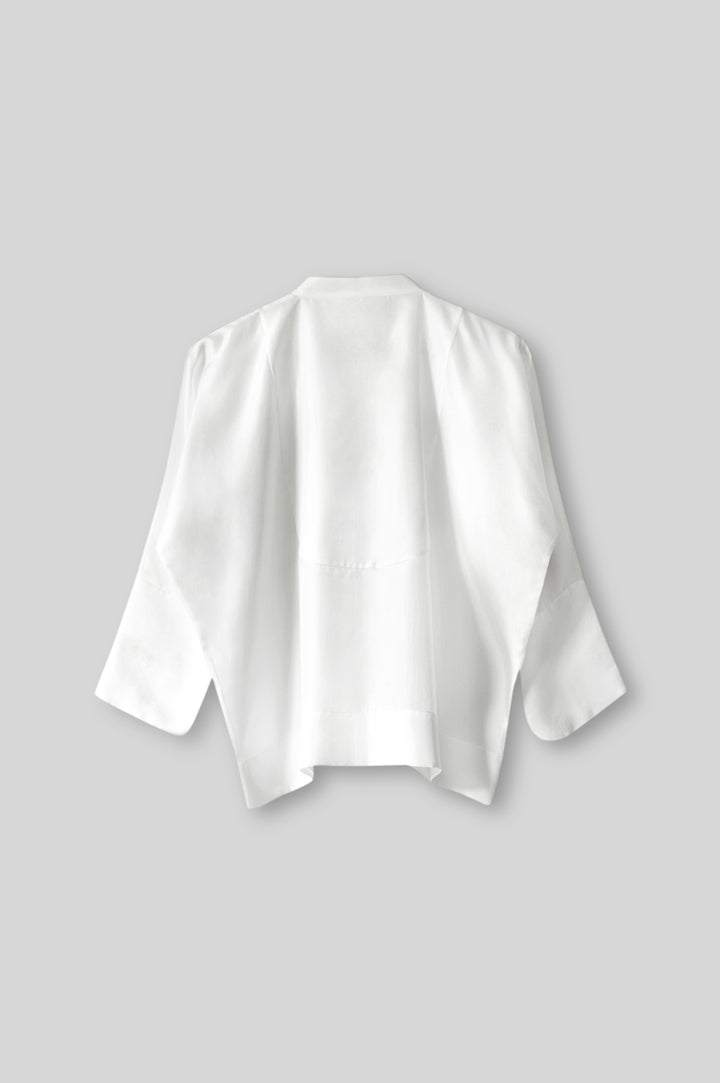 Silk Shirt