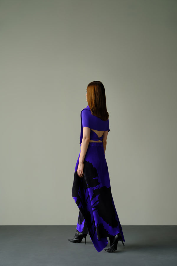 Pleated Skirt