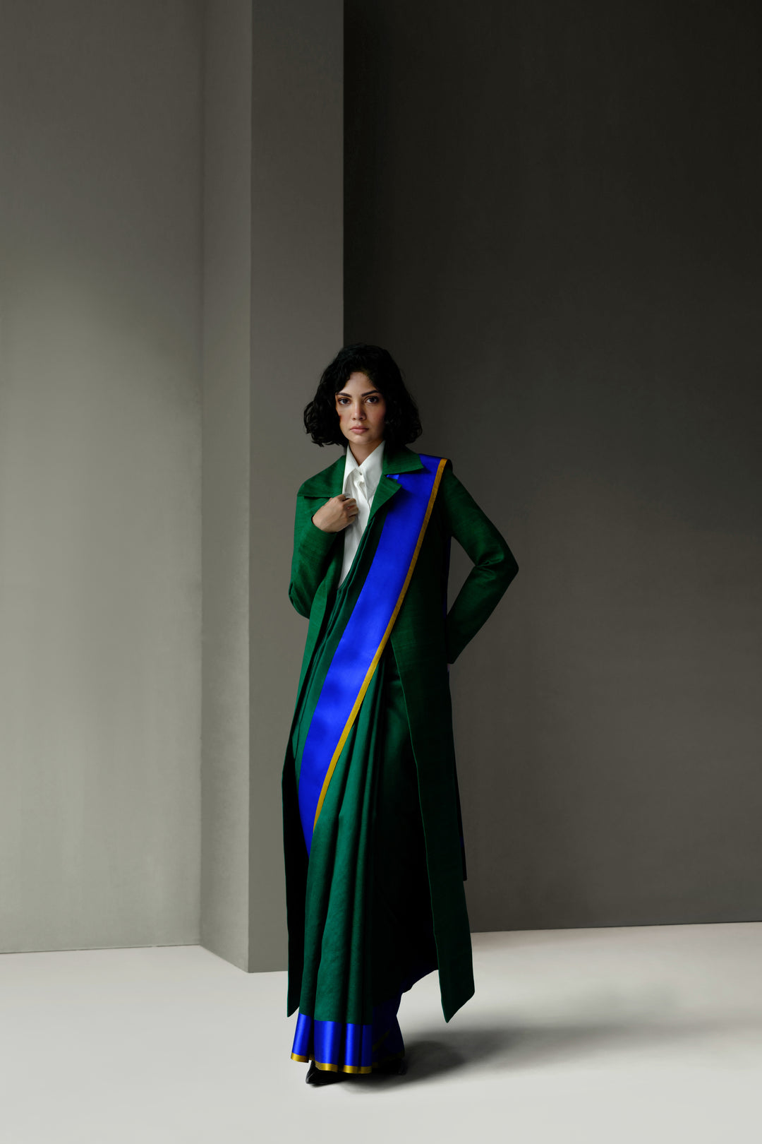 Silk Sari