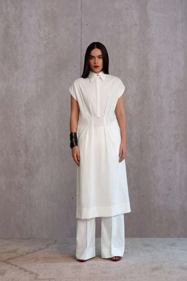 Shirt Dress