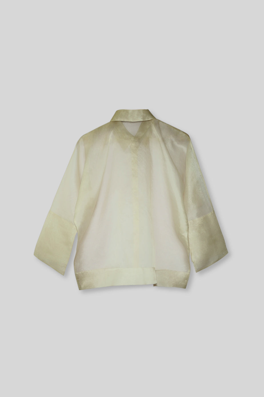 Silk Organza Shirt