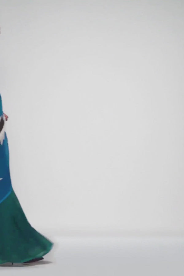 Pleated Sari